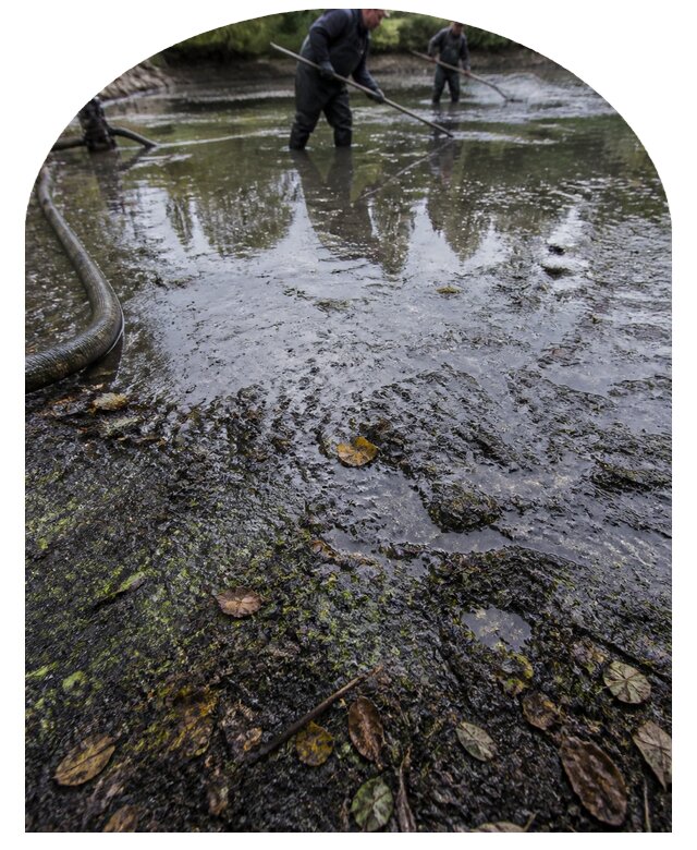 Очистка пруда в Новоуральске от ила мусора и водорослей с вывозом